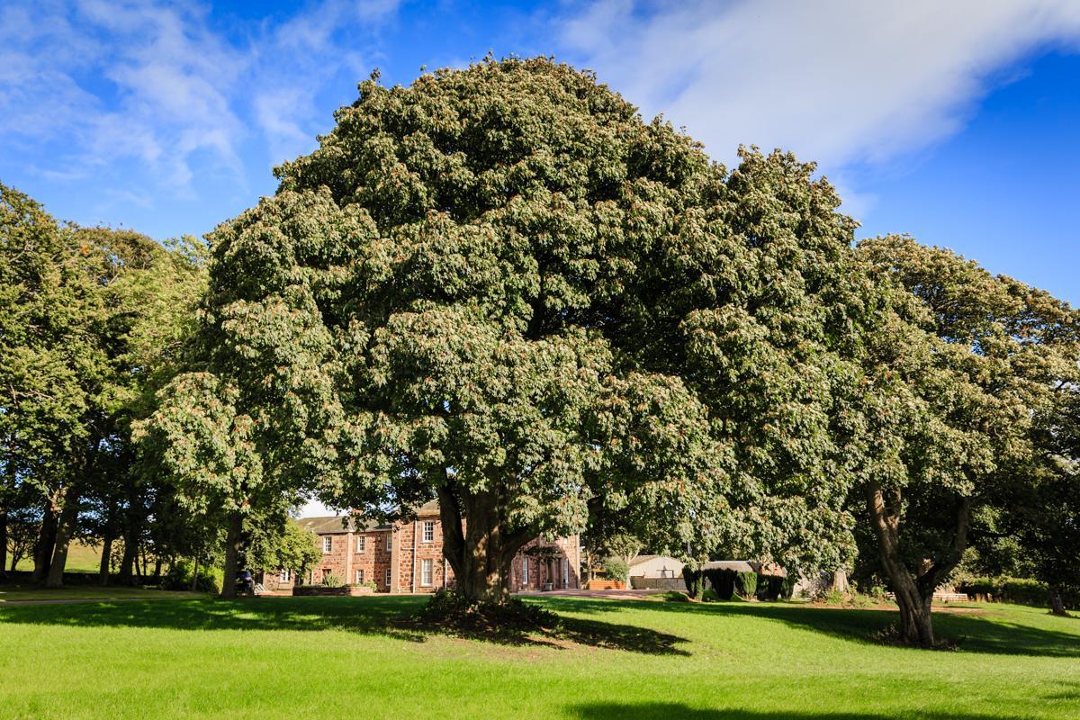 Lunan House アーブロース エクステリア 写真